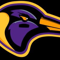 Valladolid Penguins Football (@pucelapenguins) 's Twitter Profile