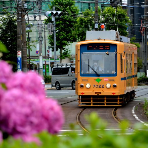 路面電車と新幹線とシンカリオン。海外に行きたい。　人狼垢　@sago_wever