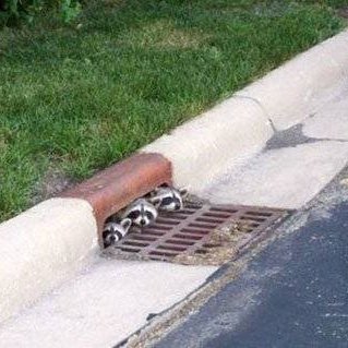 MichaSavic's profile picture. Kako radis tako ce ti biti