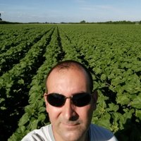 📈LittleBigFarm🇫🇷🎗️ (@geoffroybaudon) 's Twitter Profile Photo