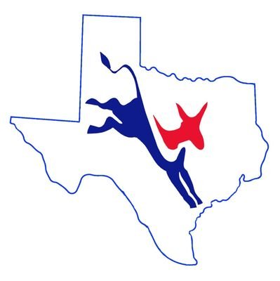 The premiere organization serving Democrats across West Texas, focusing on Senate Districts 28, 30 & 31. President @JohnKRichie. Vice President @Spencer4Texas.