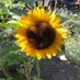 Safeguarding-Enfield (@enfieldscb) Twitter profile photo Safeguarding-Enfield (@enfieldscb) Twitter profile photo