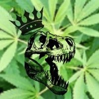 Treeasaurus_Rex (@treeasaurus_rex) 's Twitter Profile
