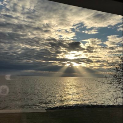 RockHallMD1's profile picture. College Professor