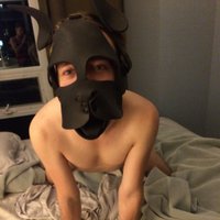 Pup Lucky 🔜 Markey Days (@gayobedientfag) 's Twitter Profile Photo