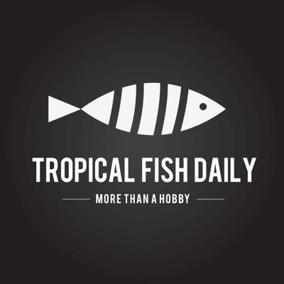 Here to share pictures, stories, ideas and info for people who have an interest/hobby with tropical fish 🐟 Pics may not be owned by me DM me to take them down!