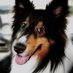 Robert1340 (@robertw1340) Twitter profile photo Robert1340 (@robertw1340) Twitter profile photo