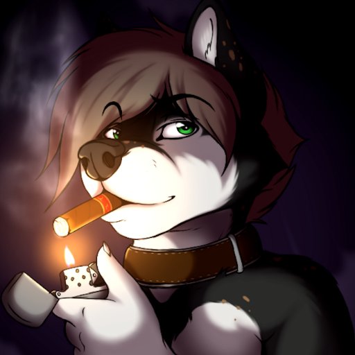 Black-Huskyさんのプロフィール画像