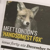 Gaspard The Fox(@GaspardTheFox) 's Twitter Profileg