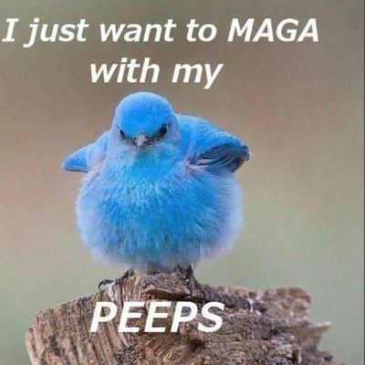 BirdsLuvFlyers's profile picture. Independent and strong, making my way through life by hard work.