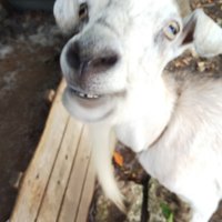 よもじい (@0ou7twcvexpfucc) 's Twitter Profile Photo よもじい (@0ou7twcvexpfucc) 's Twitter Profile Photo