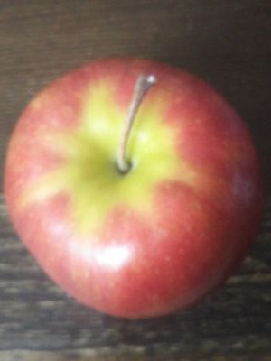 D9Kkt4eoKWF5oim's profile picture. INFP-T





　　　　
ゲーム☞コンパス/マリカ/東京放課後サモナーズ/第五人格/パズドラ/荒野行動/ねこ座





♡☞ピアス/タトゥー/13/鞭棄/ウタさん/デッドプール/トガちゃん/日染くん/爬虫類/猫/岩融/コラさん/ポロ姉/マルリリ/ハスター/ルキノ