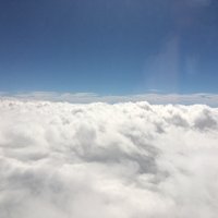 NWW@ネットワークエンジニア (@shanai_neet_com) 's Twitter Profile