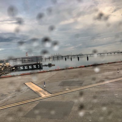 ttdmh's profile picture. 