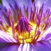 Kell’s Treasures (@kells_treasures) Twitter profile photo Kell’s Treasures (@kells_treasures) Twitter profile photo