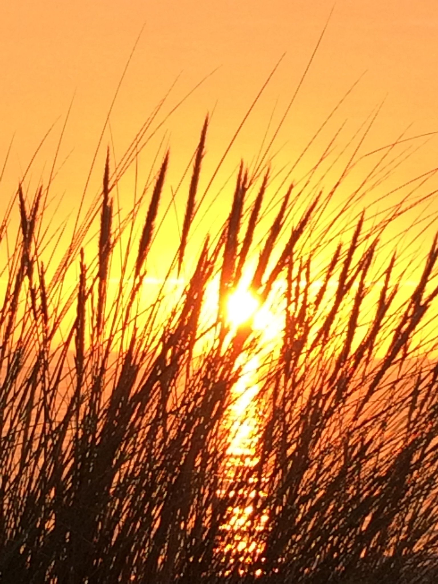 aspatiala's profile picture. Here to follow news and views