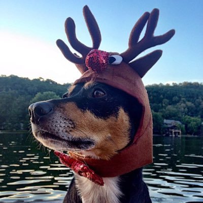 notthatGraeme's profile picture. Pluralist. Love my daughter, my dog, SAFC (That's Entertainment) Running, Rugby, and Climbing. Member of the Society of the Inimitable Livers.