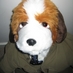 Snigel (@snigel01) Twitter profile photo Snigel (@snigel01) Twitter profile photo