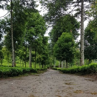 asbgg22's profile picture. إن لم يكن ماتريد فأرد مايكون