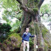 八角慎一 (@apiuqw0mkexqbqj) 's Twitter Profile