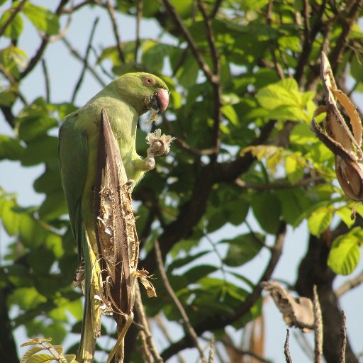 wiredal's profile picture. In my day job, I cure insomnia by writing things that put people to sleep. 
Tweets mine; not employer's. RTs not endorsements.