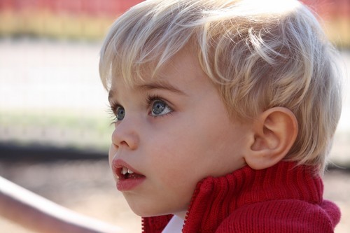 Sending out helpful tips, practical strategies and news stories for families and therapists of individuals with Autism.