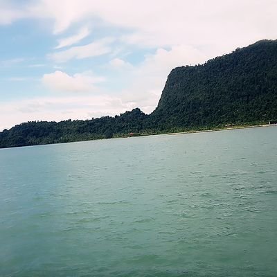 JallyTxr's profile picture. 