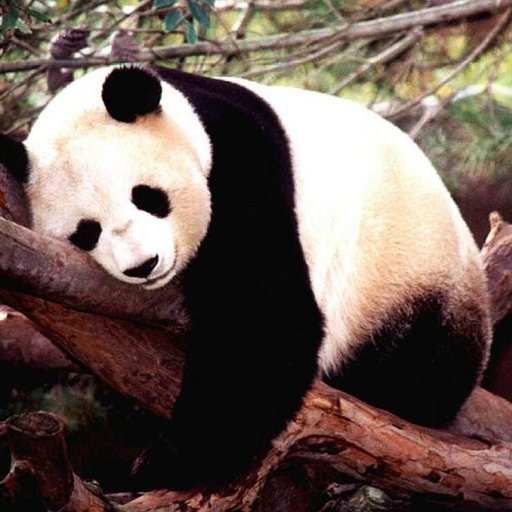 joyongnara's profile picture. Reseller Evermos