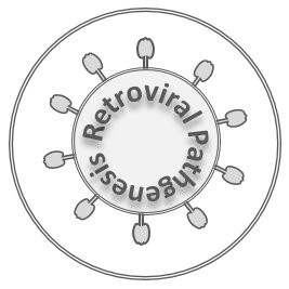 International Workshop on Retroviral Pathogenesis Profile