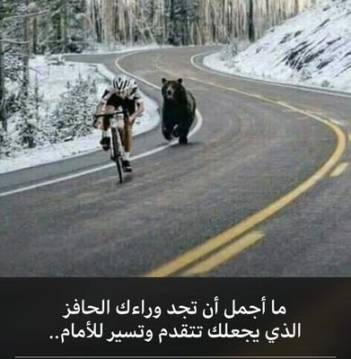 151g0Rwd8DelXvC's profile picture. 