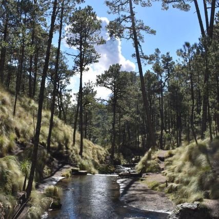 Ing. Geofísica🌎Riesgos Geológicos💥🌊🌋/Amante de la naturaleza📸🌵