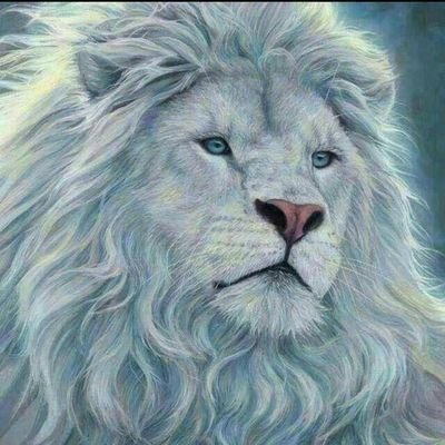 Obe_jnr's profile picture. 