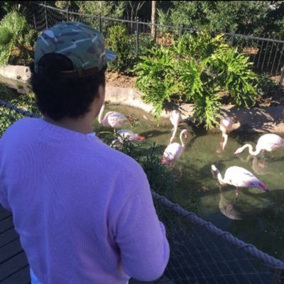 notcool_raul's profile picture. https://t.co/MshzRjxox9