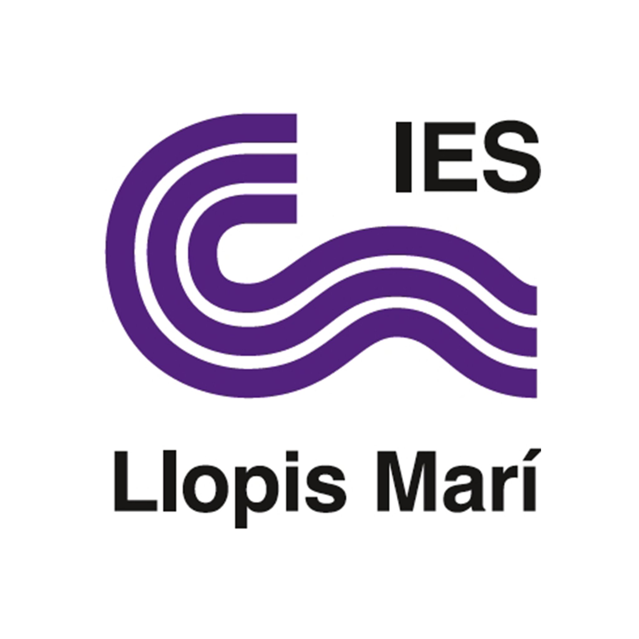 iesllopis's profile picture. 