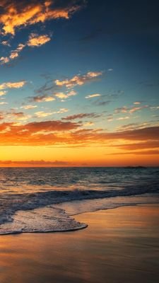 hoda1520's profile picture. 