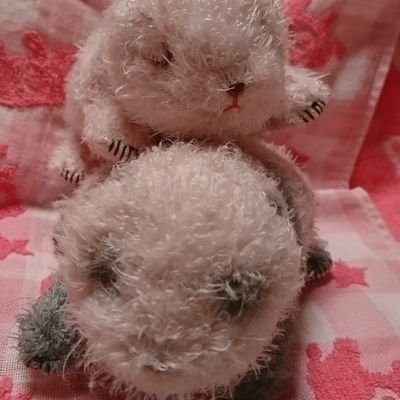 gyugyutopanda's profile picture. パンダらぶ🐼でTwitterはじめました