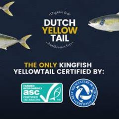 Dutch-Yellowtail UK