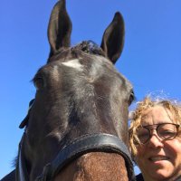 Julie Izzo (@izzojulie) 's Twitter Profile