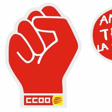 CCOO Educació Barcelonès #ElPoderDeCanviarhoTot Profile