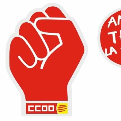 CCOO Educació del Barcelonès: Barcelona, Sant Adrià, Sta Coloma, L'Hospitalet, Badalona
#ElPoderDeCanviarhoTot