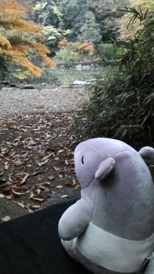 Fromm_Deguchi's profile picture. 社会学者
理論社会学、社会学史研究、現代社会の理論的分析に取り組む。戦後日本の社会学の遺産を再評価と海外発信。目下の課題は作田啓一の価値の社会学の再評価＝再構成。死、感情、価値の関係を社会学的に解明すること。エーリッヒ・フロム研究。
【趣味】ねこ（茶トラ５匹、キジトラ白１匹）