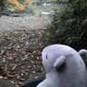 Fromm_Deguchi's profile picture. 社会学者
理論社会学、社会学史研究、現代社会の理論的分析に取り組む。戦後日本の社会学の遺産を再評価と海外発信。目下の課題は作田啓一の価値の社会学の再評価＝再構成。死、感情、価値の関係を社会学的に解明すること。エーリッヒ・フロム研究。
【趣味】ねこ（茶トラ５匹、キジトラ白１匹）