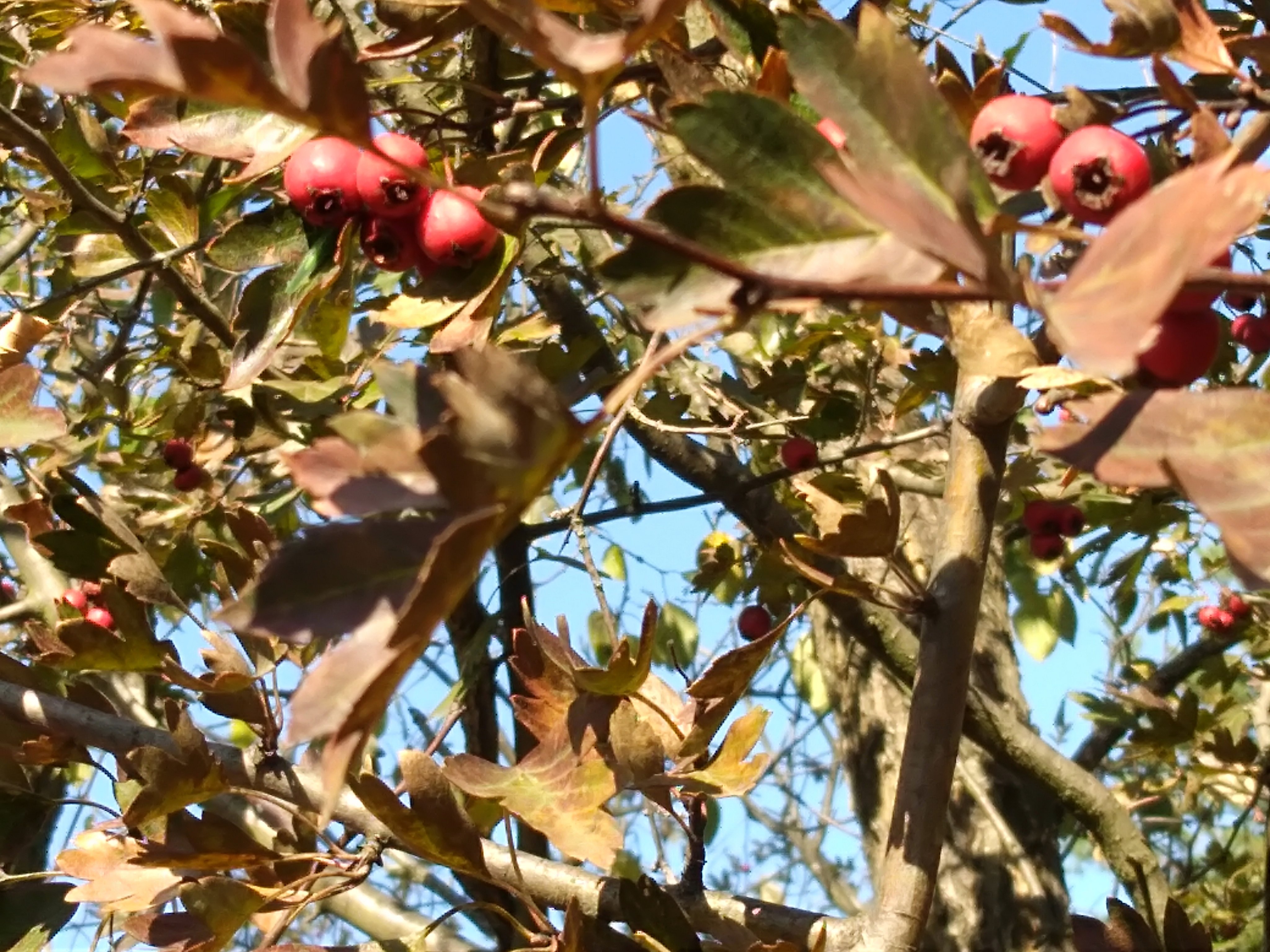 Betty74390's profile picture. 