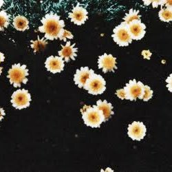 fann4748's profile picture. 