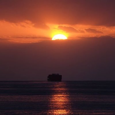 KsZCdz1uoJRdsOx's profile picture. 