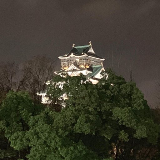 マルさんのプロフィール画像