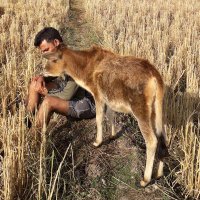 Saket Mani Trivedi (@indiansaket) 's Twitter Profile
