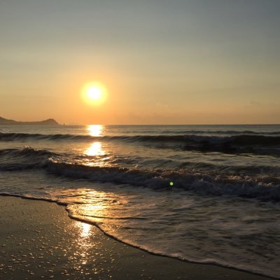 muzishi's profile picture. 交朋友