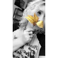 Hailey Lyn Stark (Starkie) (@superdimagicall) 's Twitter Profile