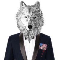 Wolf(@Wolf65313073) 's Twitter Profile Photo